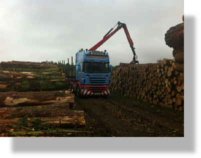 Harvested and forwarded timber being loaded for haulage